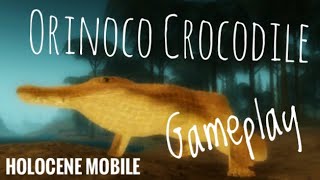 Orinoco crocodile gameplay Holocene Mobile Roblox [upl. by Chavaree]