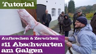 11 Abschwarten am Galgen  Schwarzwild  Lehrgang Aufbrechen amp Zerwirken [upl. by Ennayoj]