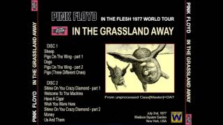 Pink Floyd  In The Grassland Away Live MSG New York 19770702 [upl. by Yojenitsirk]