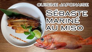 【Découper le poisson】Sébaste mariné au miso cuisine japonaise [upl. by Nob]