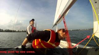 Albacore Crew Training with Mooredale Sailing Club [upl. by Reedy]