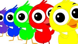 Colorful Duck Song  Duck Song  Kids Tv Color Video  Learn Colors With Ducks  Kids Tv Rhymes [upl. by Avonasac]