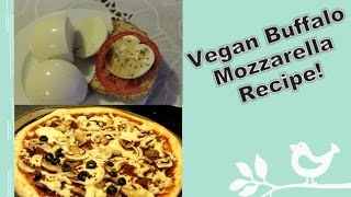 Vegan Buffalo Mozzarella Recipe Plus I melt it [upl. by Wiles]