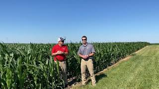 Nozzleheads  Review of Corn Fungicide Timing [upl. by Eiffub]