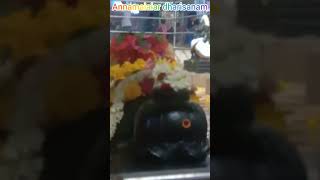 Annamalaiar tharisanam sivan shiva temple  en appan allava en thaayum allava youtubeshorts hd [upl. by Lebbie]