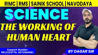 The Working of Human Heart  By Defence Academy  RIMC  RMS  Sainik School  Navodaya [upl. by Macey]