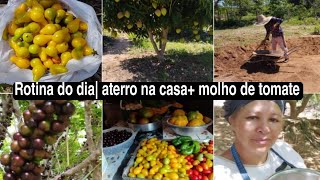 nosso diaIdelson fazendo aterro da casa  molho de tomate caseiro delicioso [upl. by Htezzil]