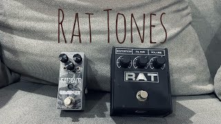 ProCo Rat VS Wampler Ratsbane [upl. by Truda452]