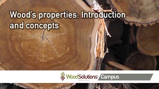 Wood’s properties Introduction and concepts [upl. by Kurr]