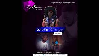 SHATTA WALE MIXTAPE HOSTED BY DJSPINCHO FT DJ LAZIO [upl. by Anua74]