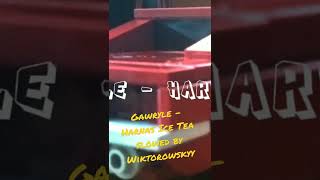 Gawryle  Harnas ice tea slowed by Wiktorowskyy [upl. by Naugan406]