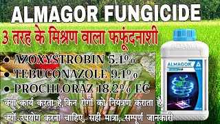 Adama Almagor fungicide  Azoxistrobin  Tebuconazole  prochloraz  Almagor सम्पूर्ण जानकारी [upl. by Eillom]