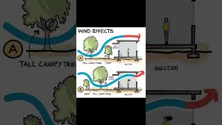 WIND EFFECTS PART 03 shorts civilengineering065 viral [upl. by Annaihs]