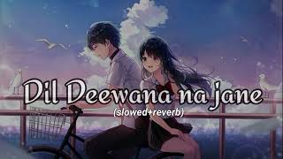 Dil Deewana na Jane kab kho Gaya song slowed reverbviral trending songs [upl. by Iaw]