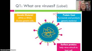 Virus Structure amp Function [upl. by Doti231]