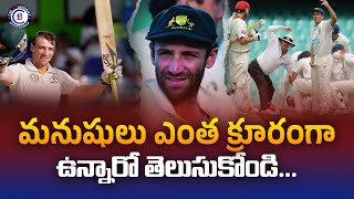 మనుషులు ఎంత క్రూరంగా ఉన్నారో తెలుసుకోండి motivation speech philliphughes cricket australia [upl. by Goldina273]