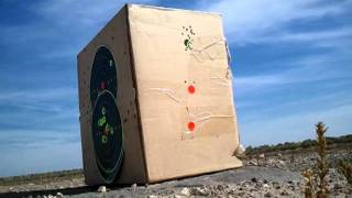 Custom Ruger 1022lr shooting 50yd target in the wind [upl. by Arodaeht]