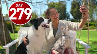 Discover the Purina ONE Difference  Healthy Pets Happy Lives tvcommercials purina one tvads [upl. by Ardnuaek]