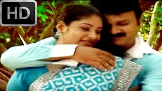 Pacha Panam Kiliye  Malayalam Mappila Album  Pachapanamkili  Ansil [upl. by Oilenroc]