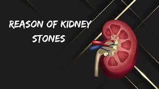 5 reason that cause kidney stones  kidney disease  kidney explainer [upl. by Nellir]