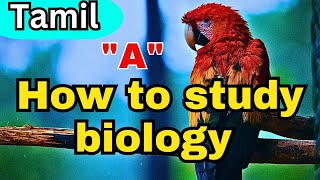 how to study biology in Tamil  biology study tips amp tricks in Tamil  biology exam easy methodbio [upl. by Gualterio]