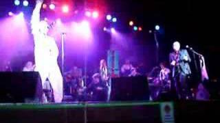 BONZO DOG DOODAH BAND  TROUSER PRESS LIVE 2006 [upl. by Lisha]