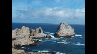 Farallon Islands Adventure walking tour [upl. by Slocum]