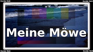 Meine Möwe dtG15 [upl. by Fleming]