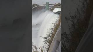 Mother 2 children dead in Niagara Falls shorts shortsvideo [upl. by Bogusz]