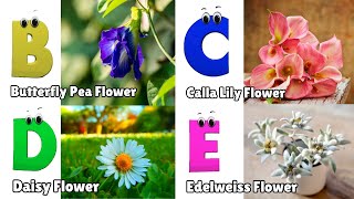 Flowers ABC Song for Kids  Phonics for Kids  English Alphabet Letters [upl. by Naloc338]