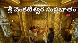 Suprabhatam  Venkateswara Swamy  సుప్రభాతం  Trendy Trends MK [upl. by Aihsele]