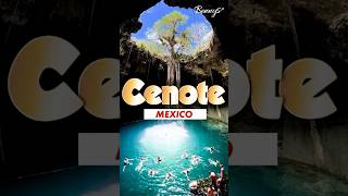 Mexico Cenote bennys cenote mexico [upl. by Brass]