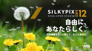 SILKYPIX Developer Studio Pro12 [upl. by Essilec]