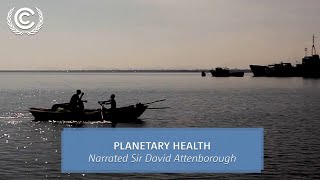 Planetary Health Narrated Sir David Attenborough  UN Climate Change [upl. by Nalla]