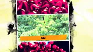 Recipes for Diabetics  Diabetic Diet Plan  Best  Gestational Diabetes Diet  Easy  Fast  Good [upl. by Mosby]