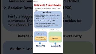 Bolsheviks and Mensheviks  Class 9  Russian Revolution [upl. by Anirtep619]