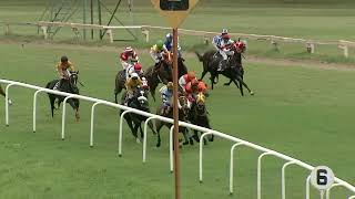 DAVIDS DELIGHT with K RAJESH up wins The Big Deal Plate 2024 RACE 2 [upl. by Greenberg753]