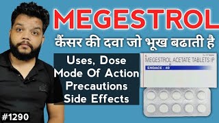 Megestrol Acetate UsesPrecautionsSide Effects  Medicine For Appetite Stimulate [upl. by Arries403]