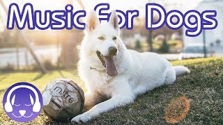 How to Relax Your Dog  15 Hours of Deep Relaxation Music for Dogs 2019 [upl. by Jonie572]