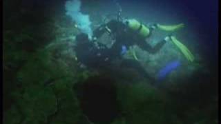 Fatal Divers Accident in Blue Hole Dahab episode 3 [upl. by Etnecniv]