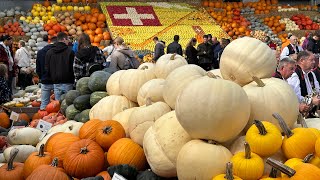 Pumpkin festival Swiss [upl. by Ylebmik227]