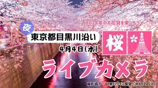 🌸夜桜ライブカメラ🌸本日、東京満開発表🌸目黒川沿い 2024年4月4日木 [upl. by Aivatnuahs]