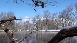 Ducks Hunting the Scioto River 01232014 [upl. by Doherty]