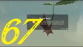 Woodland Korok Seeds  Zelda Breath of the Wild 100 Walkthrough quot67127quot No Commentary [upl. by Sirrep200]