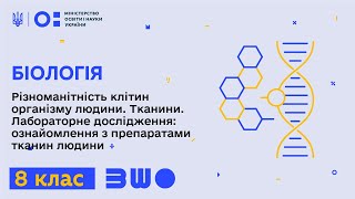 8 клас Біологія Лабораторне дослідження ознайомлення з препаратами тканин людини [upl. by Martell]