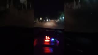 Car driving original song video car driving viralshort shortvideo vlog prostreethk1zw [upl. by Akehsal]