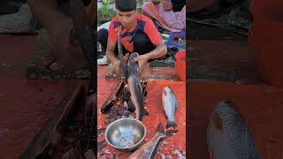 Amazing Big Pangas Fish Cutting Skills shortvideo shorts [upl. by Eerised770]