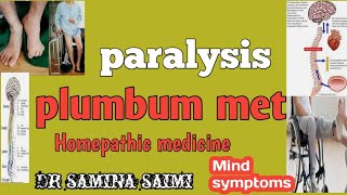 plumbum met mind symptoms [upl. by Courtland]