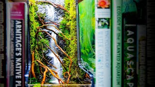 DIY Flowing Waterfalls Moss Book Nook Living Library [upl. by Hellene]