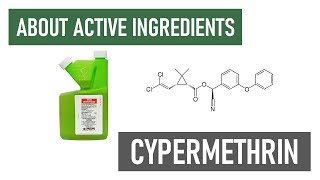 What is Cypermethrin Long Lasting Residual Insecticides [upl. by Donelu]